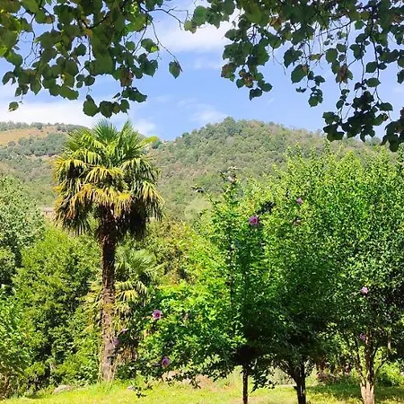 U Vechju Mulinu * Ortiporio