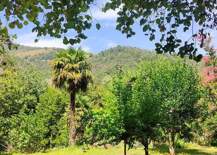 U Vechju Mulinu * Ortiporio